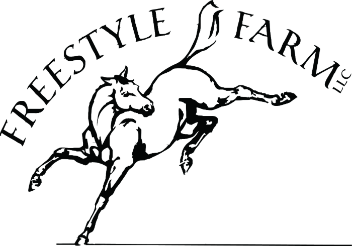 Freestyle logo